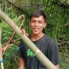 pidi candra