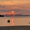 thijm_63