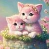 mayssa.yacine
