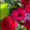 user3601161194212