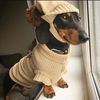 theweinerdawg
