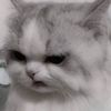 o_ounnamed