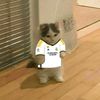 neymarsito_37
