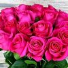 hilal09536