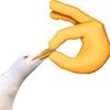 goosevalorant