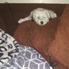 lucysfriend128