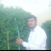 dy15g275a58l