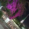 billel.khiar