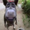 CoochieMane