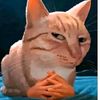 littleimp920