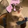 thedarkladyc
