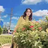 Vườn mai Nguyễn Trâm 1