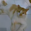 tulanggayamm