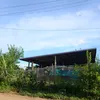 dyw5z677woci