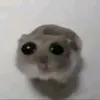 gdg_huy