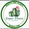 sugar.plants