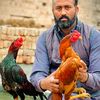 haroonlali56