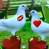 user8821731477428