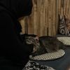 shuddaplah