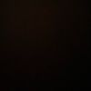 plaiv1_