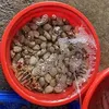 hoangducthuan92