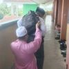 dikmeenah