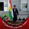 abidrashid810