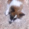 giirl_0115