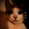 sheri_mio