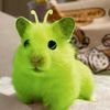 mint_xb