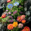 giang_030