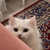 livyouh