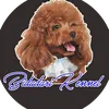 bidadari.kennel.solo