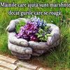 nicolaebunescu...82