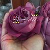 amany0063