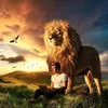 _____aslan__