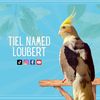 tielnamedloubert