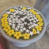 thewhiteroses2