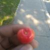 1shot2killlllllll