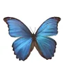 zainab_jameel.12