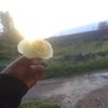 yourpeace001