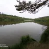 bertosjanda