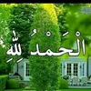 dy7ndo1yd8q9