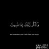 user8074775540918