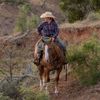 cartercattlecompany