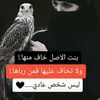 jeemoo22