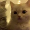 y0ung_majaaa