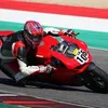 stefanocacciatore20