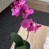 krgjjre
