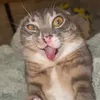oudfhjtsgjk